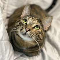 Thumbnail photo of Tonette #4
