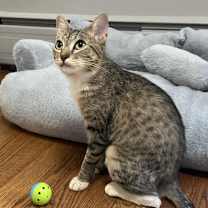 Thumbnail photo of Flossie #2