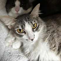 Thumbnail photo of Gretchen #3