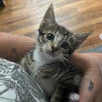 Thumbnail photo of Jack #4