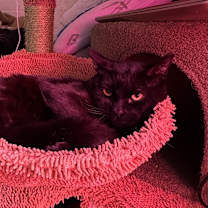 Thumbnail photo of Diego #3