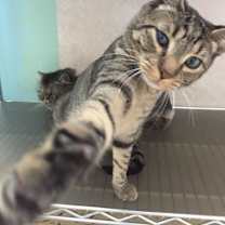 Thumbnail photo of Teddy #4