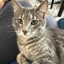 Thumbnail photo of Kyle #3