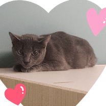 Thumbnail photo of Jackie #2