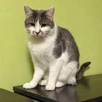 Thumbnail photo of Stan #2