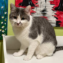 Thumbnail photo of Stan #3