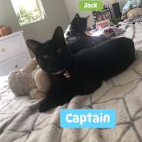 Thumbnail photo of Jack #4