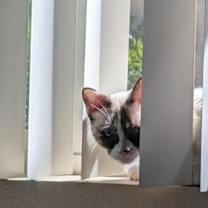 Thumbnail photo of Isla #3