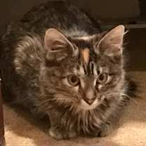 Thumbnail photo of Alva #2