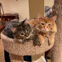 Thumbnail photo of Alva #3