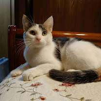 Thumbnail photo of Minnie #2