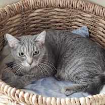 Thumbnail photo of Misto #4