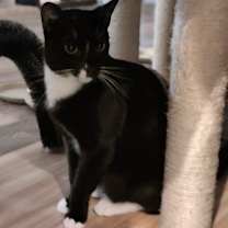 Thumbnail photo of Joel #4