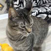 Thumbnail photo of Lindsay #3