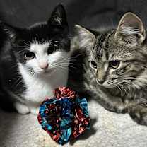 Thumbnail photo of Lexi #4