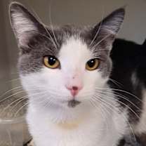 Thumbnail photo of Koen #2