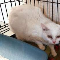 Thumbnail photo of Gerdee #2