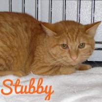 Thumbnail photo of Stubby #2