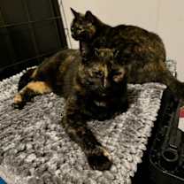 Thumbnail photo of Matilda #3