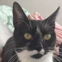 Thumbnail photo of Marge #2