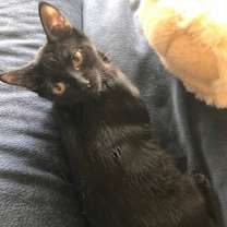 Thumbnail photo of Naveen #2