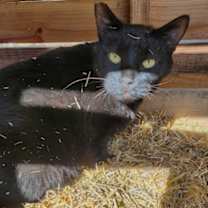 Thumbnail photo of Carter #2