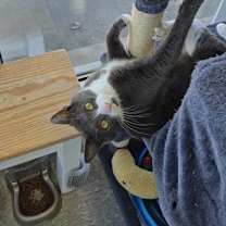 Thumbnail photo of OR1 Group Chubb #4