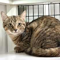 Thumbnail photo of Janelle #4