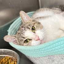 Thumbnail photo of JENNY #1