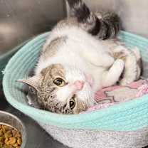 Thumbnail photo of JENNY #2