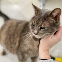 Thumbnail photo of Markie #2