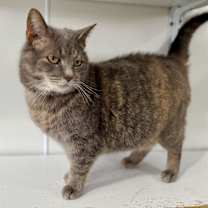 Thumbnail photo of Markie #4