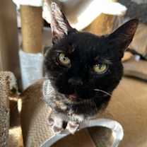 Thumbnail photo of WREN! #1