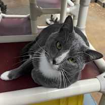 Thumbnail photo of Blake #4