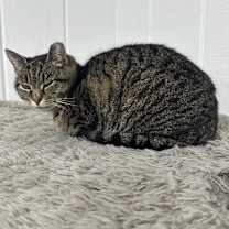 Thumbnail photo of Sofie #1
