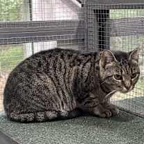 Thumbnail photo of Sofie #2