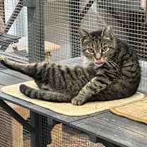 Thumbnail photo of Sofie #3