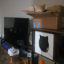 Thumbnail photo of Mandor #4