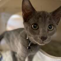 Thumbnail photo of Frankie Jo #1