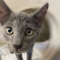 Thumbnail photo of Frankie Jo #2