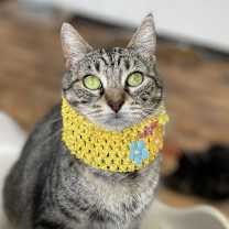 Thumbnail photo of Tahlia #4