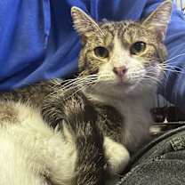 Thumbnail photo of Mr. Arleen #4