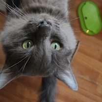 Thumbnail photo of Rhombus #3