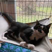 Thumbnail photo of Hudson #2