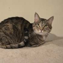 Thumbnail photo of Ash #2