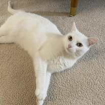 Thumbnail photo of Lily Ann #1