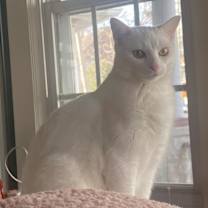 Thumbnail photo of Lily Ann #2