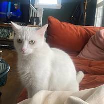 Thumbnail photo of Lily Ann #3