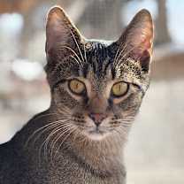 Thumbnail photo of Turkey #1