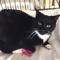 Thumbnail photo of Charlotte #3